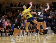 Handball Handballregion Bottwar SG vs. SV Leonberg/Eltingen