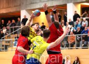 Handball SV Leonberg/Eltingen vs. SG BBM Bietigheim II
