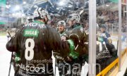 Eishockey Bietigheim Steelers vs. Towerstars Ravensburg