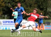 Fussball SGV Freiberg vs. TSG Balingen Fußball