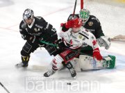 Eishockey SC Bietigheim Steelers vs. Hannover Scorpions