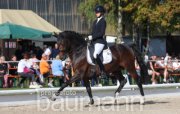 Reiten Dressur Preis der BW - Bank