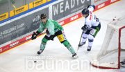 Eishockey  SC Steelers Bietigheim vs. Straubing Tigers