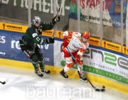 Eishockey SC Bietigheim Steelers vs. ESV Kaufbeuren