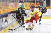 Eishockey SC Bietigheim Steelers vs. D&uuml;sseldorfer EG