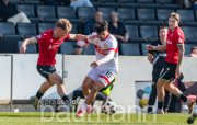 Fußball VfB Stuttgart II vs.   Hannover 96 II