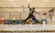 Handball TVB Stuttgart vs. HBW Balingen-Weilstetten