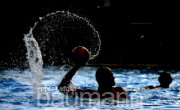 Wasserball SV Ludwigsburg vs. OSC Potsdam