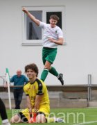 Fu&szlig;ball TSV Heimerdingen vs. SV Allmersbach