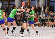 Handball Habo SG vs. HC Oppenweiler/Backnang