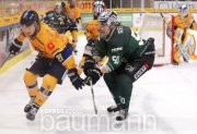 Eishockey SC Bietigheim Steelers vs. Lausitzer F&uuml;chse